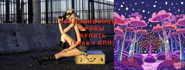 дживик Алексин