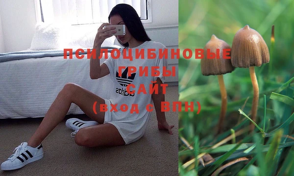дживик Алексин