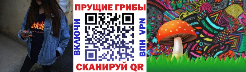 Псилоцибиновые грибы ЛСД Енисейск