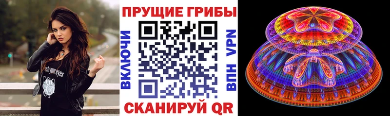 Псилоцибиновые грибы MAGIC MUSHROOMS  дарнет шоп  блэк спрут ссылка  Енисейск 